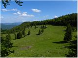 Planina Tamar